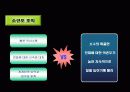 관료제의 변화에 대해 14페이지