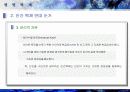 생명 복제의 문제점에 대해 7페이지