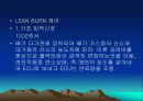 LEAN NOx CATALYST 10페이지