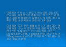 LEAN NOx CATALYST 24페이지