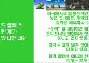 미국 애니매이션 13페이지