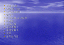 사업계획서 애견센터 2페이지