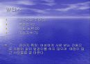 사업계획서 애견센터 6페이지
