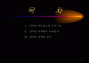 인터넷 비즈니스 수익성 창출을 위한 인터넷 마케팅 효과분석 2페이지