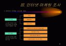인터넷 비즈니스 수익성 창출을 위한 인터넷 마케팅 효과분석 20페이지