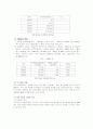 미샤의 성공 마케팅 전략 3페이지