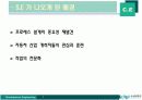 [A+팀플]동시공학(사례를 중심으로) 3페이지
