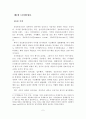 디지털콘텐츠 보호에 관한 법률들의 문제점과 개정방향 2페이지