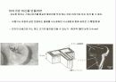 바이오닉스-생명체들의 특수한 능력 9페이지
