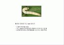 바이오닉스-생명체들의 특수한 능력 18페이지