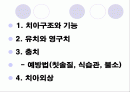 구강교육 ppt 입니다.. 초등학교 교생실습나갔을때 만듯것 1페이지