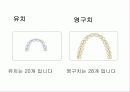 구강교육 ppt 입니다.. 초등학교 교생실습나갔을때 만듯것 6페이지