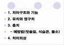 구강교육 ppt 입니다.. 초등학교 교생실습나갔을때 만듯것 29페이지
