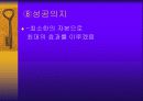 인터넷 쇼핑몰 사업계획서 10페이지