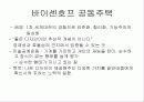 독일의 공작연맹( Deutscher Werkbund ) 11페이지