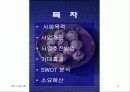 주먹밥 사업계획서 2페이지