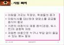 주먹밥 사업계획서 3페이지