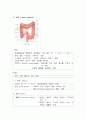 하복부 소화기계의 구조와 기능 6페이지