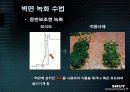 중수도의 이용과 건물녹화 32페이지