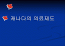 캐나다의 의료제도 1페이지