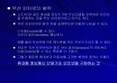 무선 인터넷의 정의와 종류 4페이지