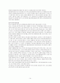 정치적 위험 관리 18페이지