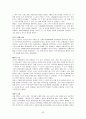 정치적 위험 관리 33페이지