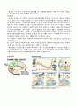 (청소년복지) 청소년 성매매의 실태와 문제점 및 해결방안 8페이지