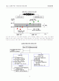 유로&유로화 (Euro)도입에 따른 영향과 국내 경제 레포트 12페이지