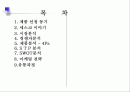 세스코 성공사례 2페이지