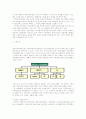 지방자치 미국 한국 행정 14페이지