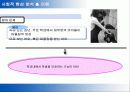 [교육학]교육의 위기 - 공교육과 사교육에 대하여 18페이지
