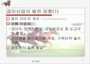 경마 문화와 경제 9페이지
