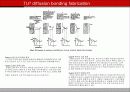 TLP (Transient Liquid Phase) 4페이지