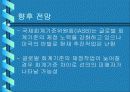 (국제경영) 국제경영에 있어서의 분식회계 사례를 들고 각 나라의 대응과 향후 방안을 기술 19페이지