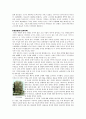 중국의 동북공정에 대한 고찰 6페이지