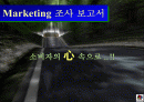 플레이스테이션2마케팅보고서 1페이지