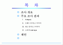플레이스테이션2마케팅보고서 2페이지