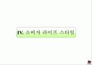 플레이스테이션2마케팅보고서 22페이지