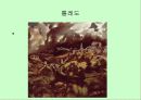스페인의 근대 회화 (엘 그레꼬, 벨라 스께스, 고야 등 작품 사진 다수 포함) 9페이지