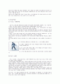 스키의 기본 기술및 스키장에서의 안전 수칙 8페이지