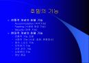 호텔의 개념과 종류 3페이지