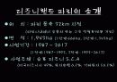 디즈니랜드 파리 3페이지