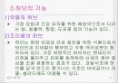 허브(Herb)에 대해 5페이지