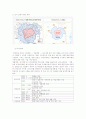 [사회과학] 행정중심 복합도시 건설 7페이지