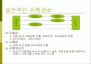 시장환경의 이해 10페이지