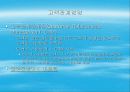 기업환경의 이해 11페이지
