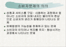 소비자문제와 피해구제 2페이지