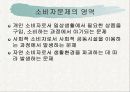 소비자문제와 피해구제 3페이지