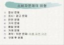 소비자문제와 피해구제 4페이지